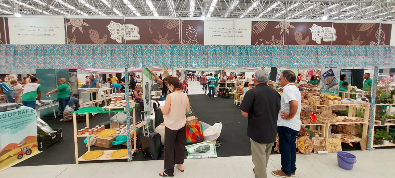 O protagonismo feminino na Agricultura Familiar e Economia do